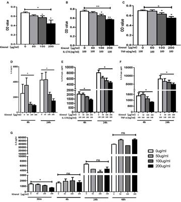 Kirenol Inhibits the Function and Inflammation of Fibroblast-like Synoviocytes in Rheumatoid Arthritis in vitro and in vivo